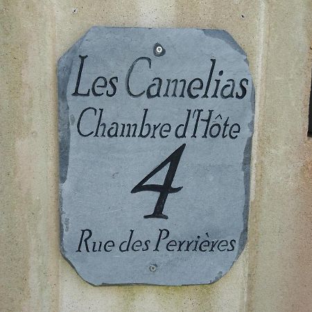 Les Camelias Bed and Breakfast Binic Buitenkant foto